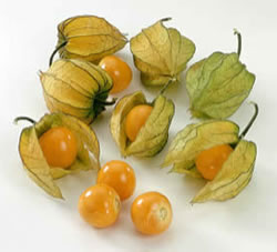 physalis