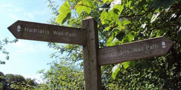 wall signposts