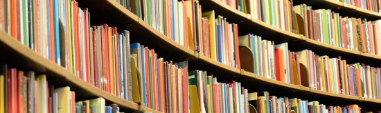 shelves full of books