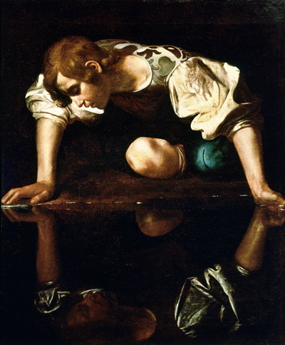 Narcissus