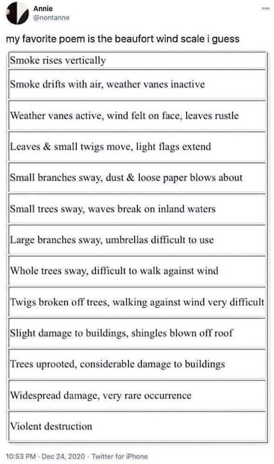 beaufort
        scale