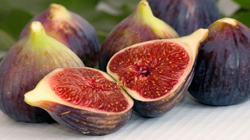 fig