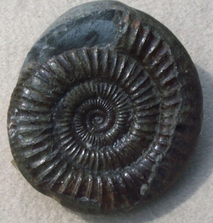 snakestone
