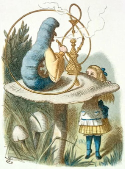 Alice and caterpillar