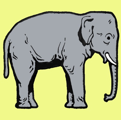 elephant