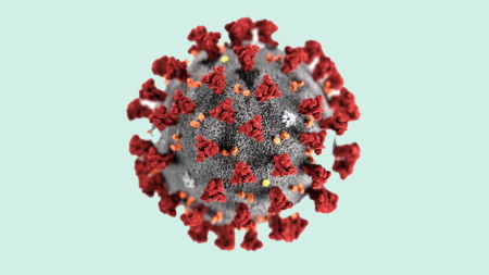 coronavirus